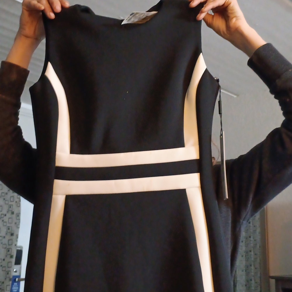 Calvin Klein b/w Sleeveless Dress size 4